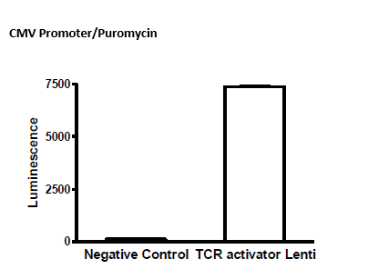 TCR Activator Lentivirus (EF1a Promoter/Puromycin)