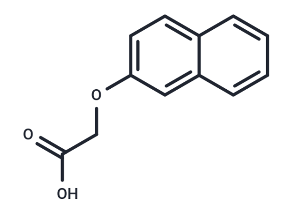 2-Naphthoxyacetic acid