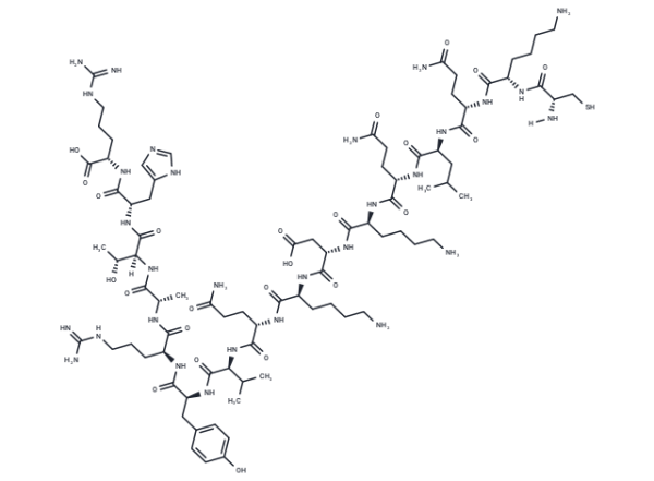 GTP-Binding Protein Fragment, Gs alpha