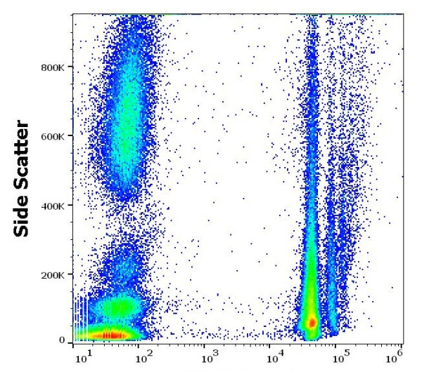 Anti-CD235a / Glycophorin A, clone JC159 (PE )