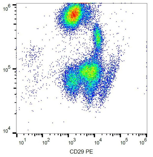 Anti-CD29, clone MEM-101A (PE)