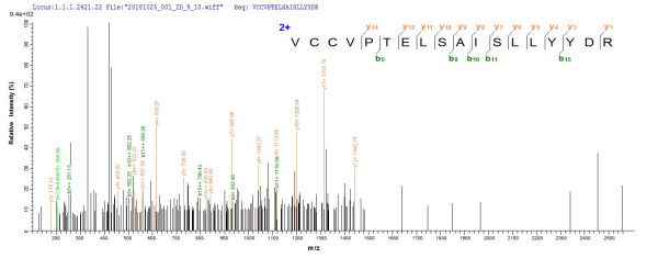 Bone morphogenetic protein 8B (Bmp8b), mouse, recombinant