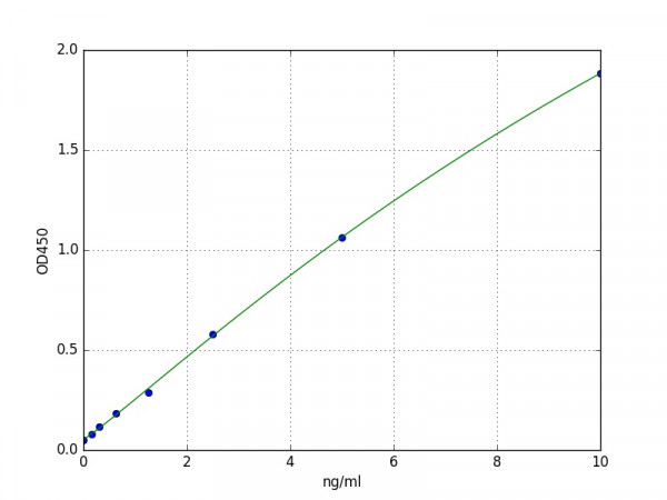 Human CYP1A2 ELISA Kit