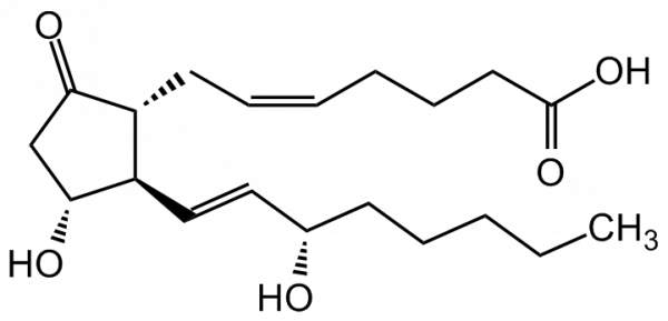 Prostaglandin E2