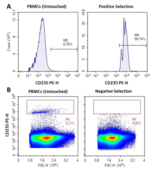 CD235a Positive Cell Isolation Kit