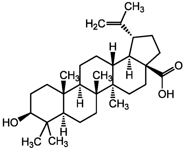 Betulinic acid (&gt;99%)