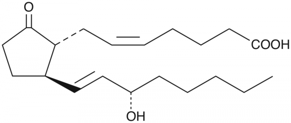 11-deoxy Prostaglandin E2