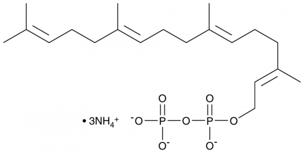 Geranylgeranyl Pyrophosphate (ammonium salt)