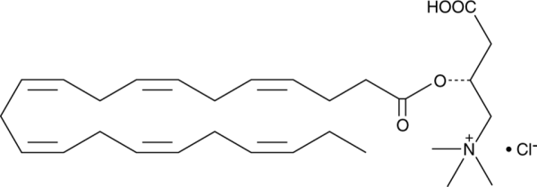 Docosahexaenoyl-L-carnitine (chloride)