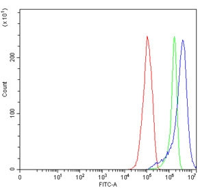 Anti-MX1 / MxA / Myxovirus resistance protein 1