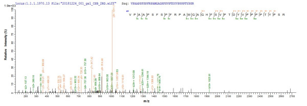 Endoribonuclease ZC3H12A (Zc3h12a), mouse, recombinant