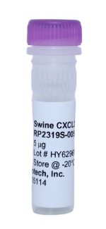 Recombinant Protein, cxcl2 swine (scxCXCL2)