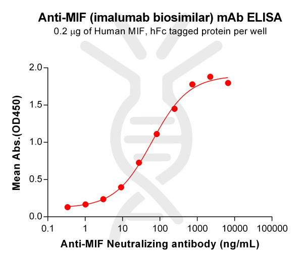 Anti-MIF(imalumab biosimilar) mAb