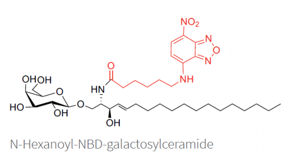 Fluorexcent-Galactosylceramides