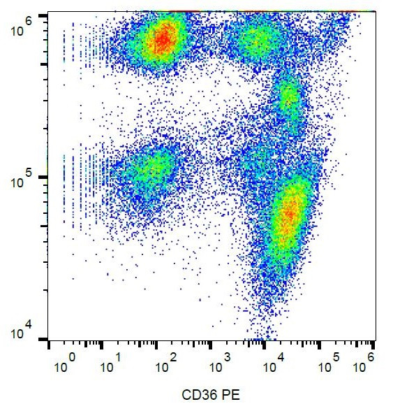 Anti-CD36, clone TR9 (PE)