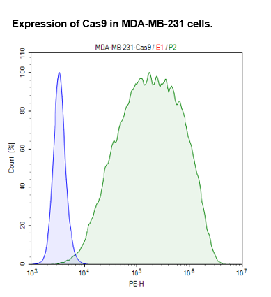 Cas9 Expressing MDA-MB-231 cell pool