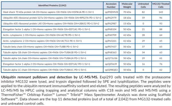 Anti-Ubiquitin Remnant (K-epsilon-GG) Immunoaffinity Sorbent