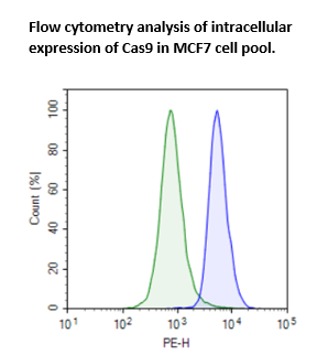 Cas9-Expressing MCF7 Cell Pool