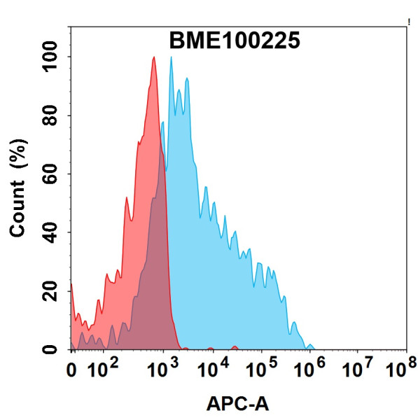 Anti-CD79B (polatuzumab biosimilar) antibody, Rabbit IgG Chimeric mAb