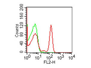 Anti-CD4, clone RPA-T4, Phycoerythrin conjugated