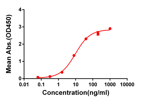 Anti-CTLA-4 antibody(DM51), Rabbit mAb