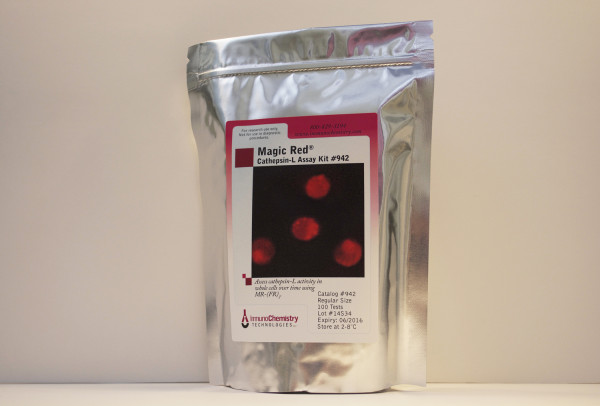 Magic Red(TM) Cathepsin L Assay Kit