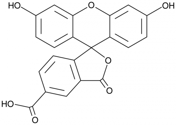 5-Carboxyfluorescein