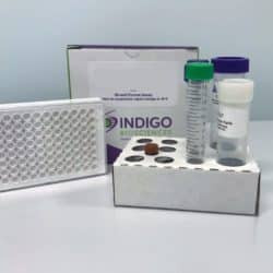 Human M-CSFR Reporter Assay System