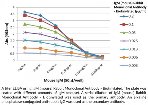 Anti-IgM (mouse) Rabbit Monoclonal Antibody - Biotinylated (RM109)