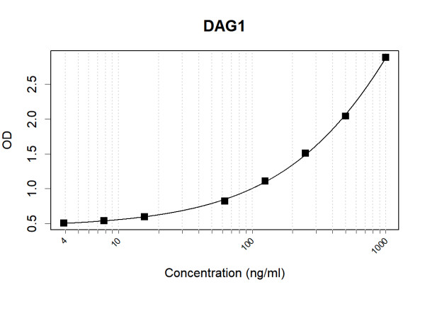 Anti-Human beta Dystroglycan Antibody Pair