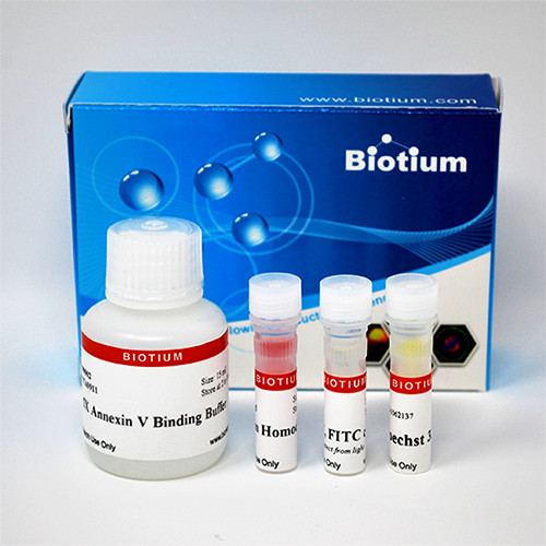 Apoptotic, Necrotic &amp; Healthy Cells Quantification Kit (50 assays)