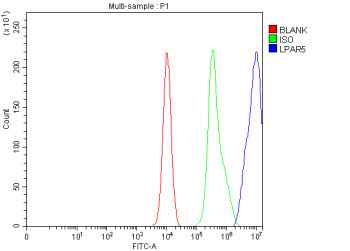 Anti-LPAR5 / Lysophosphatidic acid receptor 5