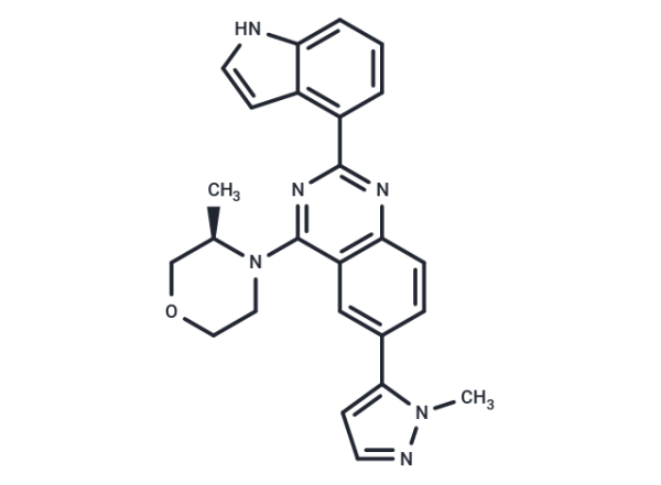 SKLB-197