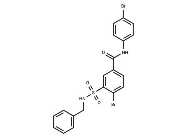 RS-1