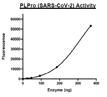 PLPro, His-tag (SARS-CoV-2)