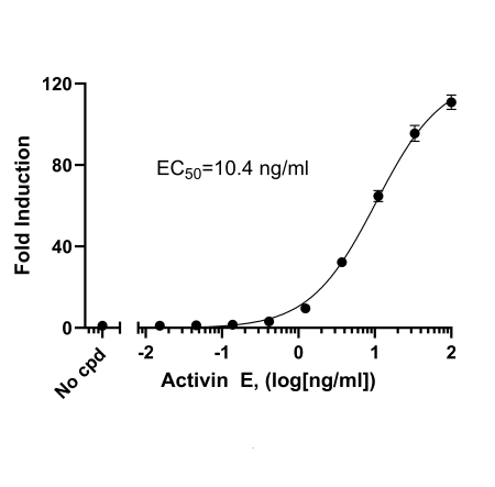 Activin E Responsive Luciferase Reporter HEK293 Cell Line