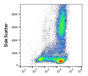Anti-CD62L, clone DREG56 (FITC)