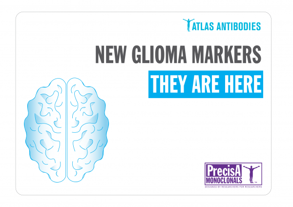 Post-launch-Glioma-markers-mAbs-They-are-here-03