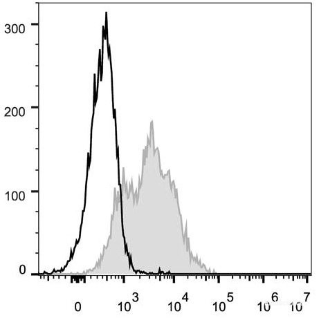 Anti-Mouse CD54 (FITC Conjugated)[YN1/1.7.4], clone YN1/1.7.4