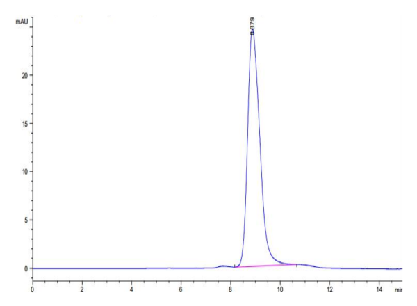 Biotinylated Cynomolgus BTN3A1/CD277 Protein