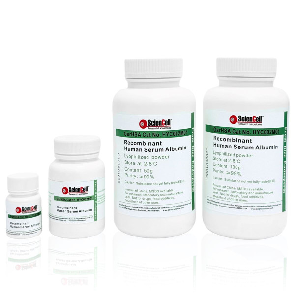 Recombinant Human Serum Albumin