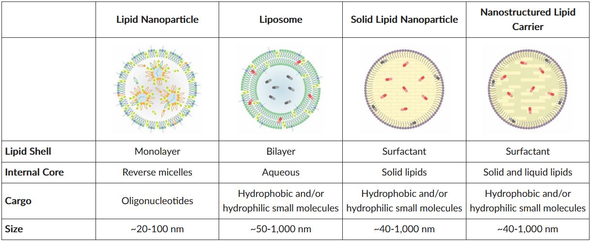 2022-07-05-11_51_10-Intro-to-Lipid-Nanoparticle-Formulation-_-News-Announcements-_-Cayman-Chemical