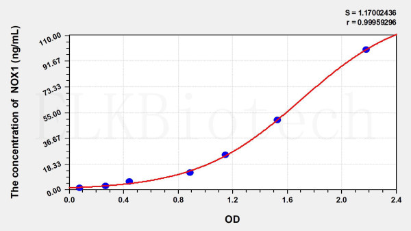 Rat NOX1 (Nicotinamide Adenine Dinucleotide Phosphate Oxidase 1) ELISA Kit
