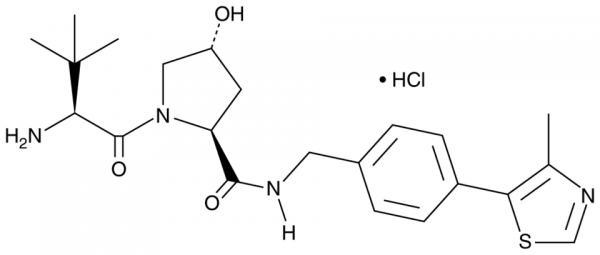 Cay21591-5_600x600.png