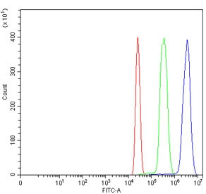 Anti-MRE11 / Meiotic recombination 11