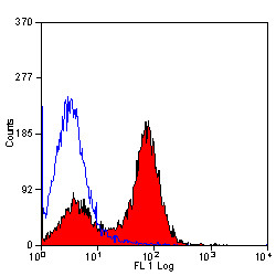 Anti-CD40 (low endotoxin), clone 3/23