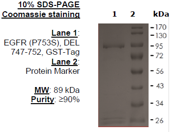 EGFR (P753S), DEL 747-752, GST-Tag