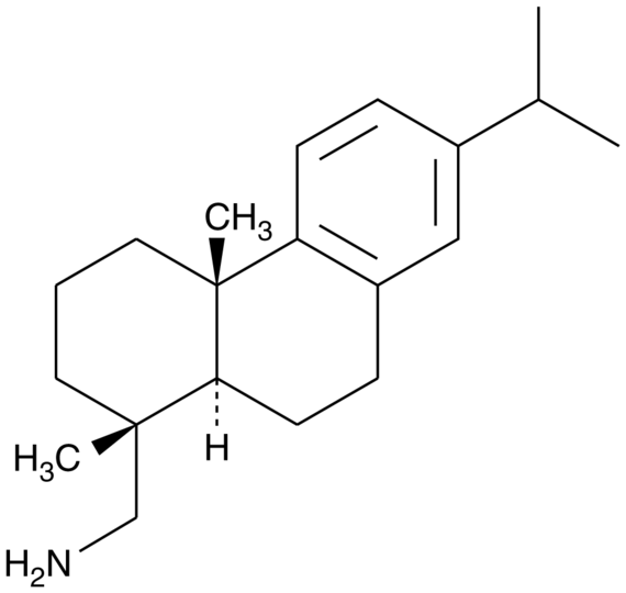 Leelamine