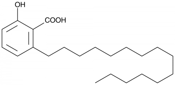 Anacardic Acid