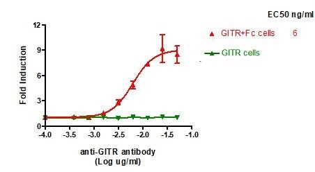 GITR / NF-kappaB-Luciferase Reporter (Luc) - Jurkat Cell Line